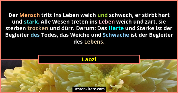 Der Mensch tritt ins Leben weich und schwach, er stirbt hart und stark. Alle Wesen treten ins Leben weich und zart, sie sterben trocken und dü... - Laozi
