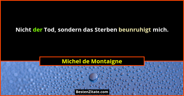 Nicht der Tod, sondern das Sterben beunruhigt mich.... - Michel de Montaigne