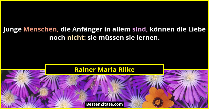Junge Menschen, die Anfänger in allem sind, können die Liebe noch nicht: sie müssen sie lernen.... - Rainer Maria Rilke