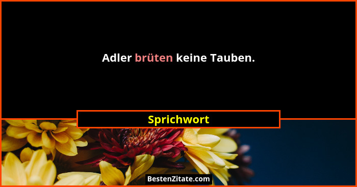 Adler brüten keine Tauben.... - Sprichwort
