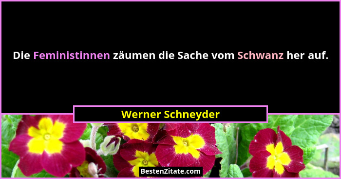 Die Feministinnen zäumen die Sache vom Schwanz her auf.... - Werner Schneyder