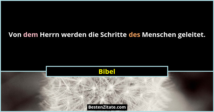 Von dem Herrn werden die Schritte des Menschen geleitet.... - Bibel