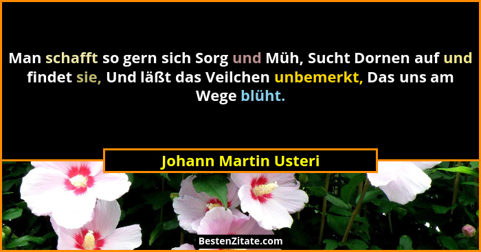 Man schafft so gern sich Sorg und Müh, Sucht Dornen auf und findet sie, Und läßt das Veilchen unbemerkt, Das uns am Wege blüht.... - Johann Martin Usteri