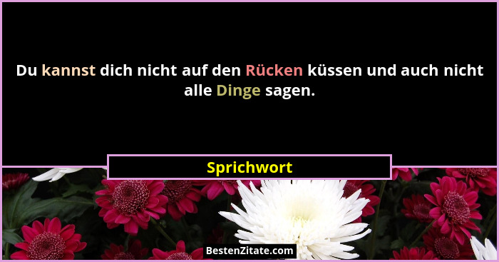 Du kannst dich nicht auf den Rücken küssen und auch nicht alle Dinge sagen.... - Sprichwort