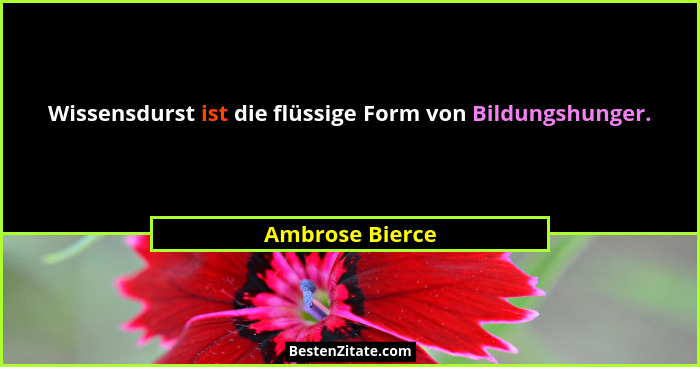 Wissensdurst ist die flüssige Form von Bildungshunger.... - Ambrose Bierce