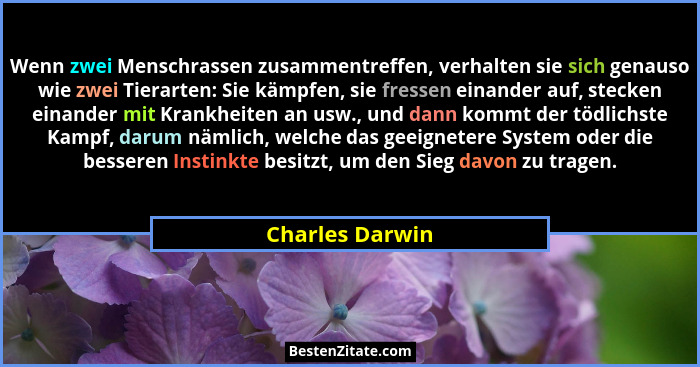Wenn zwei Menschrassen zusammentreffen, verhalten sie sich genauso wie zwei Tierarten: Sie kämpfen, sie fressen einander auf, stecken... - Charles Darwin