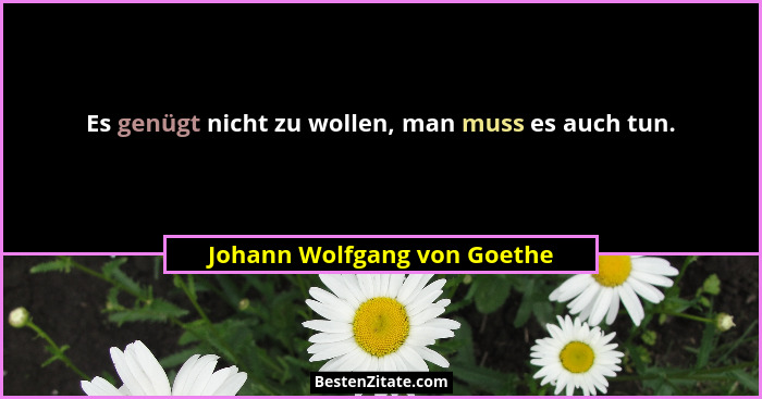Es genügt nicht zu wollen, man muss es auch tun.... - Johann Wolfgang von Goethe