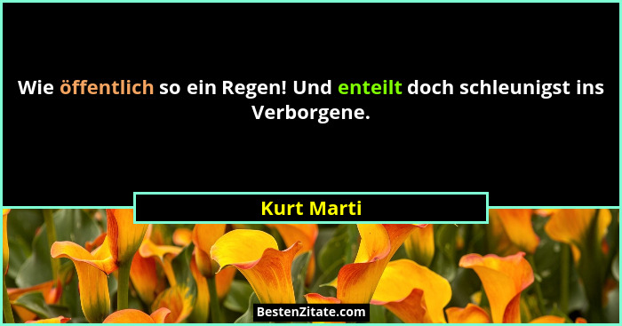Wie öffentlich so ein Regen! Und enteilt doch schleunigst ins Verborgene.... - Kurt Marti