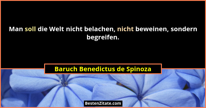 Man soll die Welt nicht belachen, nicht beweinen, sondern begreifen.... - Baruch Benedictus de Spinoza