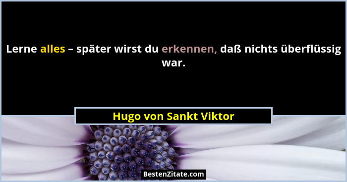Lerne alles – später wirst du erkennen, daß nichts überflüssig war.... - Hugo von Sankt Viktor