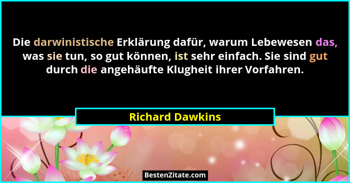 Die darwinistische Erklärung dafür, warum Lebewesen das, was sie tun, so gut können, ist sehr einfach. Sie sind gut durch die angehä... - Richard Dawkins
