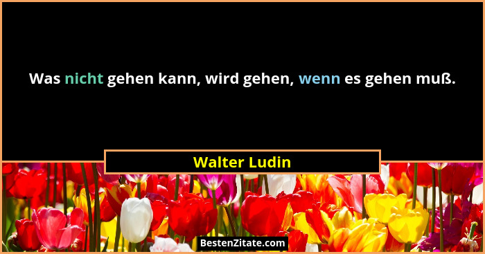 Was nicht gehen kann, wird gehen, wenn es gehen muß.... - Walter Ludin