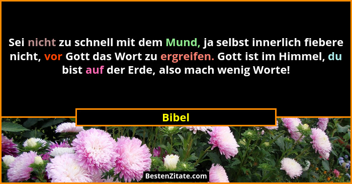 Sei nicht zu schnell mit dem Mund, ja selbst innerlich fiebere nicht, vor Gott das Wort zu ergreifen. Gott ist im Himmel, du bist auf der Erde... - Bibel