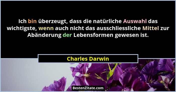 Ich bin überzeugt, dass die natürliche Auswahl das wichtigste, wenn auch nicht das ausschliessliche Mittel zur Abänderung der Lebensf... - Charles Darwin