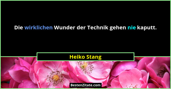 Die wirklichen Wunder der Technik gehen nie kaputt.... - Heiko Stang