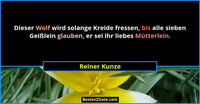 Dieser Wolf wird solange Kreide fressen, bis alle sieben Geißlein glauben, er sei ihr liebes Mütterlein.... - Reiner Kunze