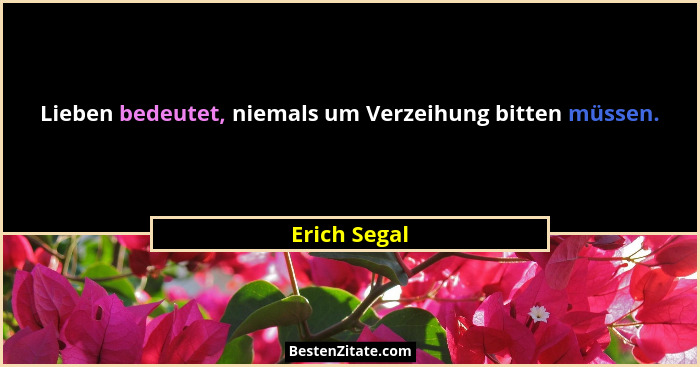 Lieben bedeutet, niemals um Verzeihung bitten müssen.... - Erich Segal