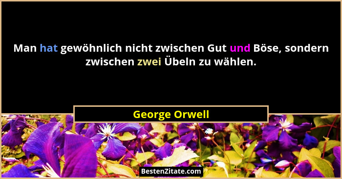 Man hat gewöhnlich nicht zwischen Gut und Böse, sondern zwischen zwei Übeln zu wählen.... - George Orwell