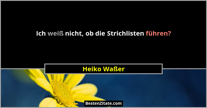 Ich weiß nicht, ob die Strichlisten führen?... - Heiko Waßer