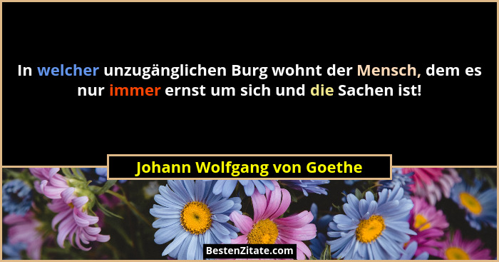 In welcher unzugänglichen Burg wohnt der Mensch, dem es nur immer ernst um sich und die Sachen ist!... - Johann Wolfgang von Goethe