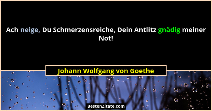 Ach neige, Du Schmerzensreiche, Dein Antlitz gnädig meiner Not!... - Johann Wolfgang von Goethe