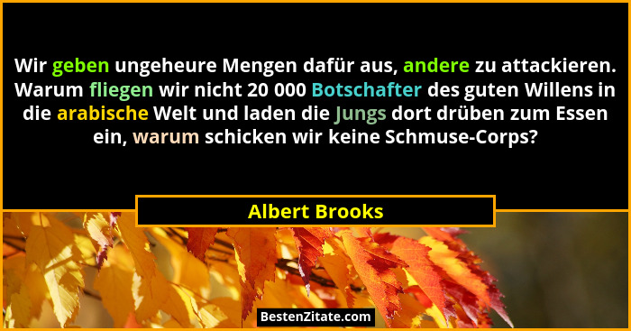 Wir geben ungeheure Mengen dafür aus, andere zu attackieren. Warum fliegen wir nicht 20 000 Botschafter des guten Willens in die arabi... - Albert Brooks