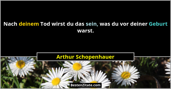 Nach deinem Tod wirst du das sein, was du vor deiner Geburt warst.... - Arthur Schopenhauer
