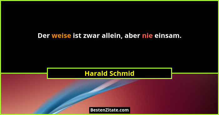 Der weise ist zwar allein, aber nie einsam.... - Harald Schmid