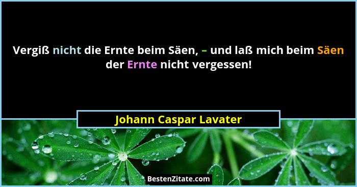 Vergiß nicht die Ernte beim Säen, – und laß mich beim Säen der Ernte nicht vergessen!... - Johann Caspar Lavater