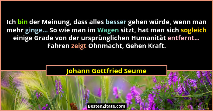 Ich bin der Meinung, dass alles besser gehen würde, wenn man mehr ginge... So wie man im Wagen sitzt, hat man sich sogleich e... - Johann Gottfried Seume