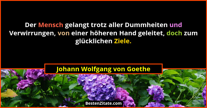 Der Mensch gelangt trotz aller Dummheiten und Verwirrungen, von einer höheren Hand geleitet, doch zum glücklichen Ziele.... - Johann Wolfgang von Goethe