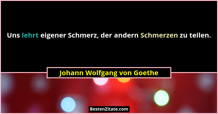 Uns lehrt eigener Schmerz, der andern Schmerzen zu teilen.... - Johann Wolfgang von Goethe