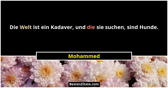Die Welt ist ein Kadaver, und die sie suchen, sind Hunde.... - Mohammed