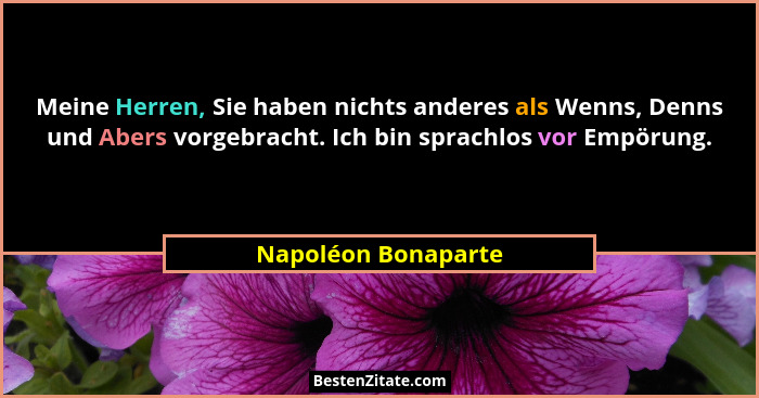 Meine Herren, Sie haben nichts anderes als Wenns, Denns und Abers vorgebracht. Ich bin sprachlos vor Empörung.... - Napoléon Bonaparte