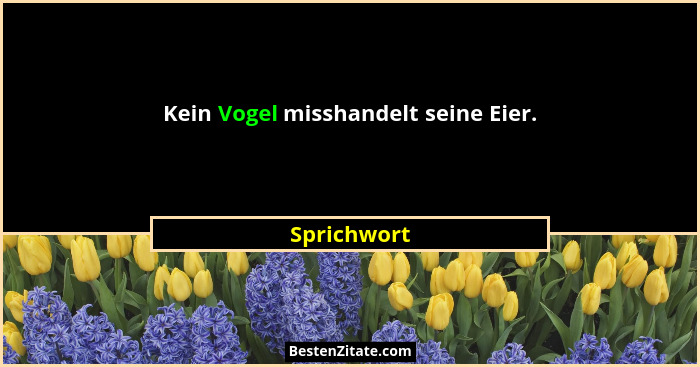 Kein Vogel misshandelt seine Eier.... - Sprichwort