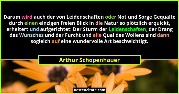 Darum wird auch der von Leidenschaften oder Not und Sorge Gequälte durch einen einzigen freien Blick in die Natur so plötzlich e... - Arthur Schopenhauer