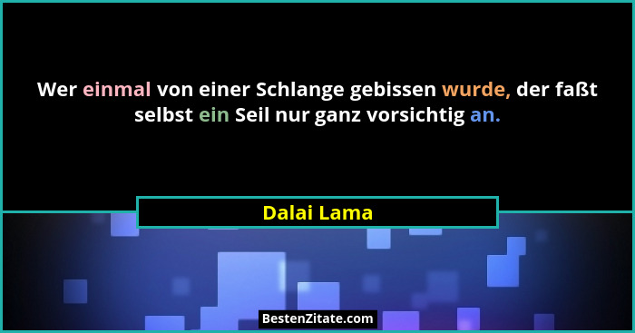 Wer einmal von einer Schlange gebissen wurde, der faßt selbst ein Seil nur ganz vorsichtig an.... - Dalai Lama