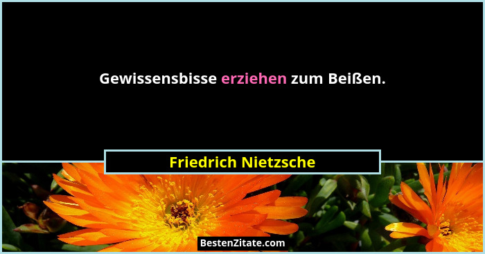 Gewissensbisse erziehen zum Beißen.... - Friedrich Nietzsche