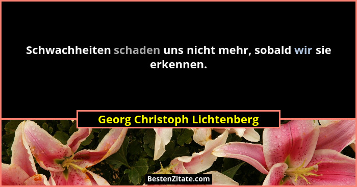 Schwachheiten schaden uns nicht mehr, sobald wir sie erkennen.... - Georg Christoph Lichtenberg