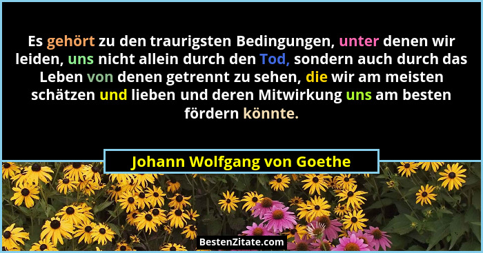 Es gehört zu den traurigsten Bedingungen, unter denen wir leiden, uns nicht allein durch den Tod, sondern auch durch das... - Johann Wolfgang von Goethe