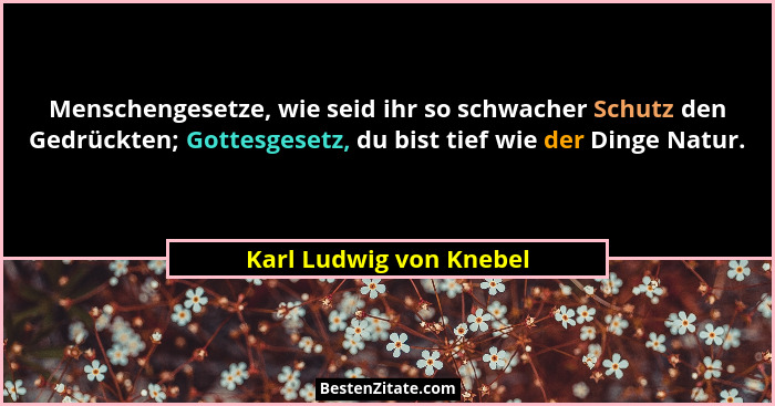 Menschengesetze, wie seid ihr so schwacher Schutz den Gedrückten; Gottesgesetz, du bist tief wie der Dinge Natur.... - Karl Ludwig von Knebel