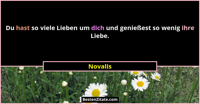 Du hast so viele Lieben um dich und genießest so wenig ihre Liebe.... - Novalis