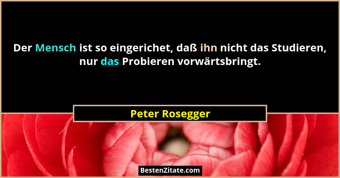 Der Mensch ist so eingerichet, daß ihn nicht das Studieren, nur das Probieren vorwärtsbringt.... - Peter Rosegger
