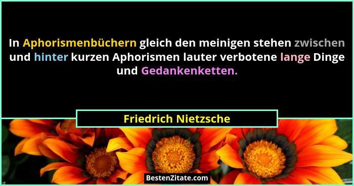 In Aphorismenbüchern gleich den meinigen stehen zwischen und hinter kurzen Aphorismen lauter verbotene lange Dinge und Gedankenk... - Friedrich Nietzsche