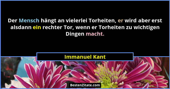 Der Mensch hängt an vielerlei Torheiten, er wird aber erst alsdann ein rechter Tor, wenn er Torheiten zu wichtigen Dingen macht.... - Immanuel Kant