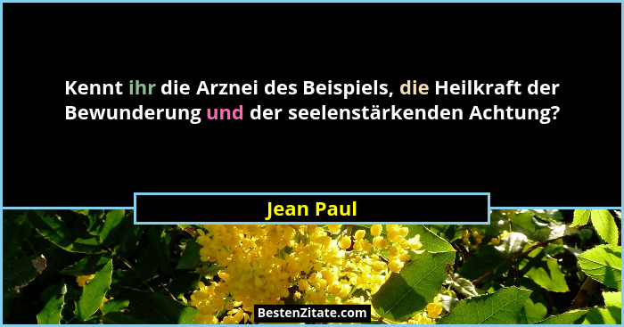 Kennt ihr die Arznei des Beispiels, die Heilkraft der Bewunderung und der seelenstärkenden Achtung?... - Jean Paul