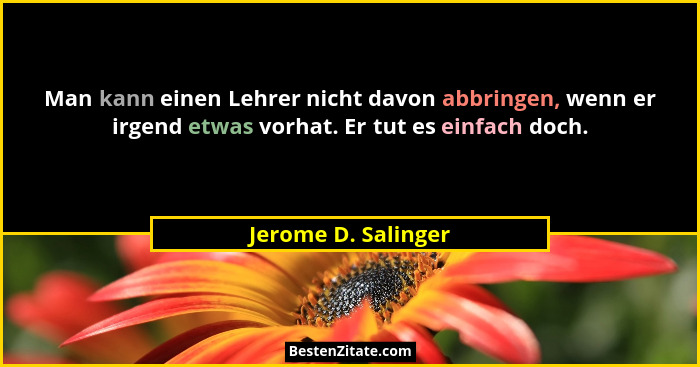 Man kann einen Lehrer nicht davon abbringen, wenn er irgend etwas vorhat. Er tut es einfach doch.... - Jerome D. Salinger