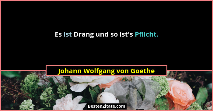 Es ist Drang und so ist's Pflicht.... - Johann Wolfgang von Goethe