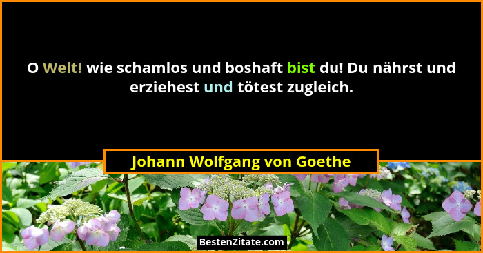O Welt! wie schamlos und boshaft bist du! Du nährst und erziehest und tötest zugleich.... - Johann Wolfgang von Goethe