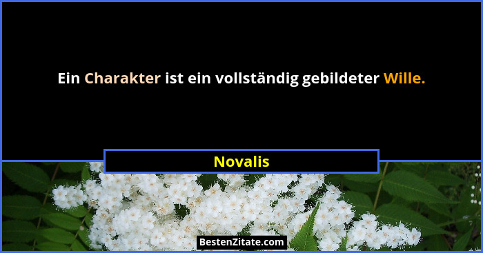 Ein Charakter ist ein vollständig gebildeter Wille.... - Novalis